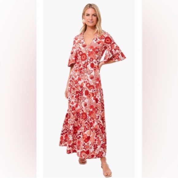 Tuckernuck Dresses & Skirts - Tuckernuck Spiced Chintz Ginger Dress Size M in perfect condition doesn’t fit me
